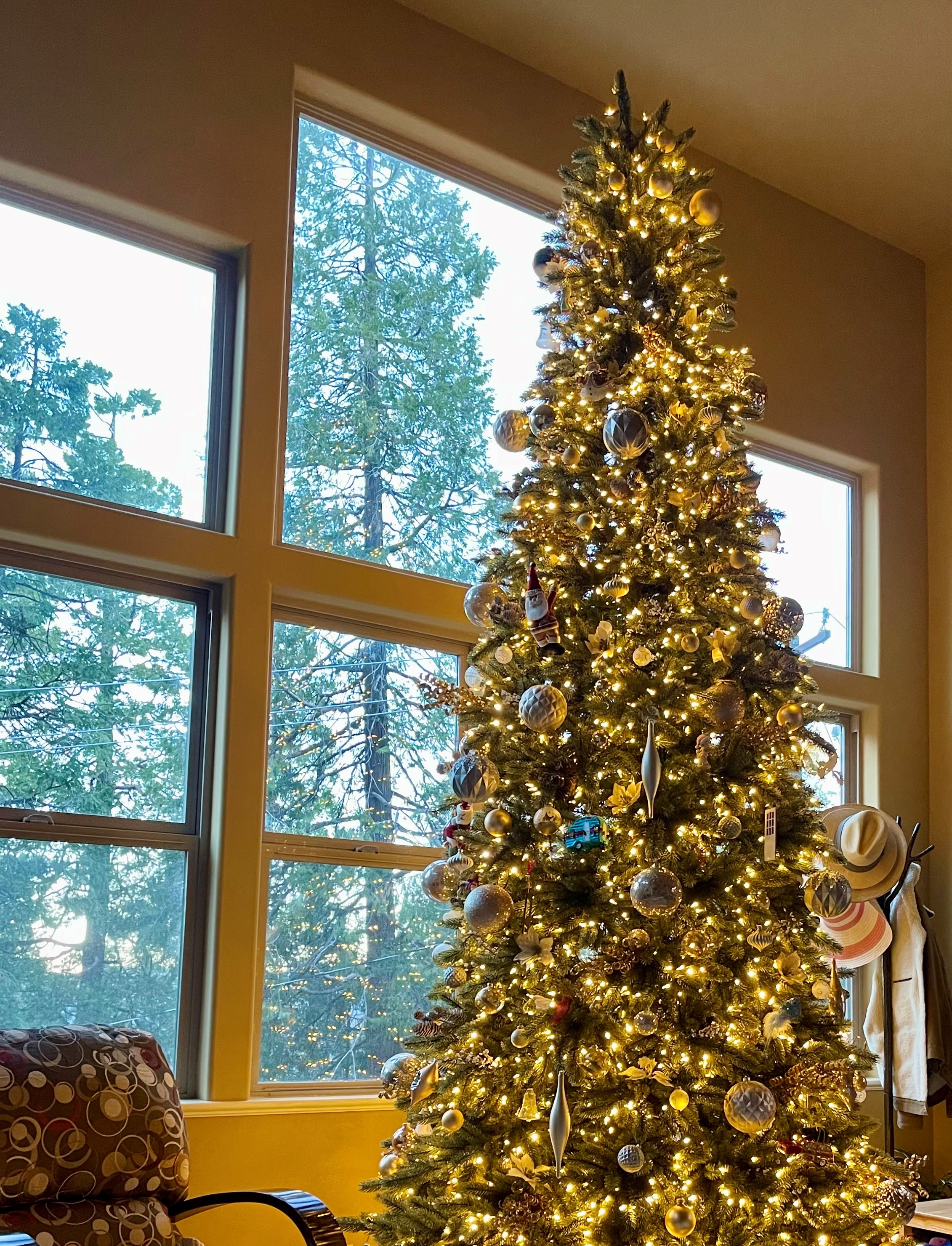 Enrollment Holiday Quiz